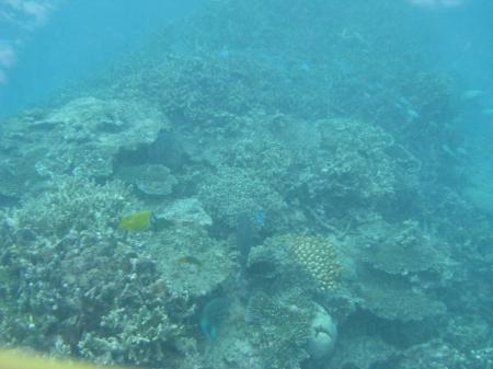 img_8861.jpg