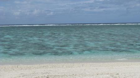 img_8924.jpg